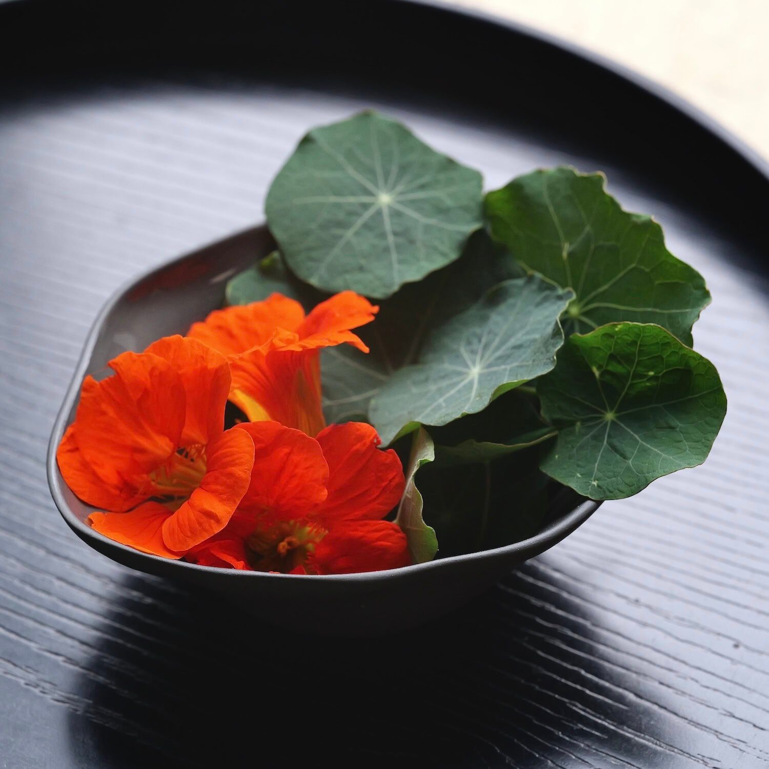 Nasturtium leaves and flowers in a black wabi sabi ceramic bowl on a black wooden tray