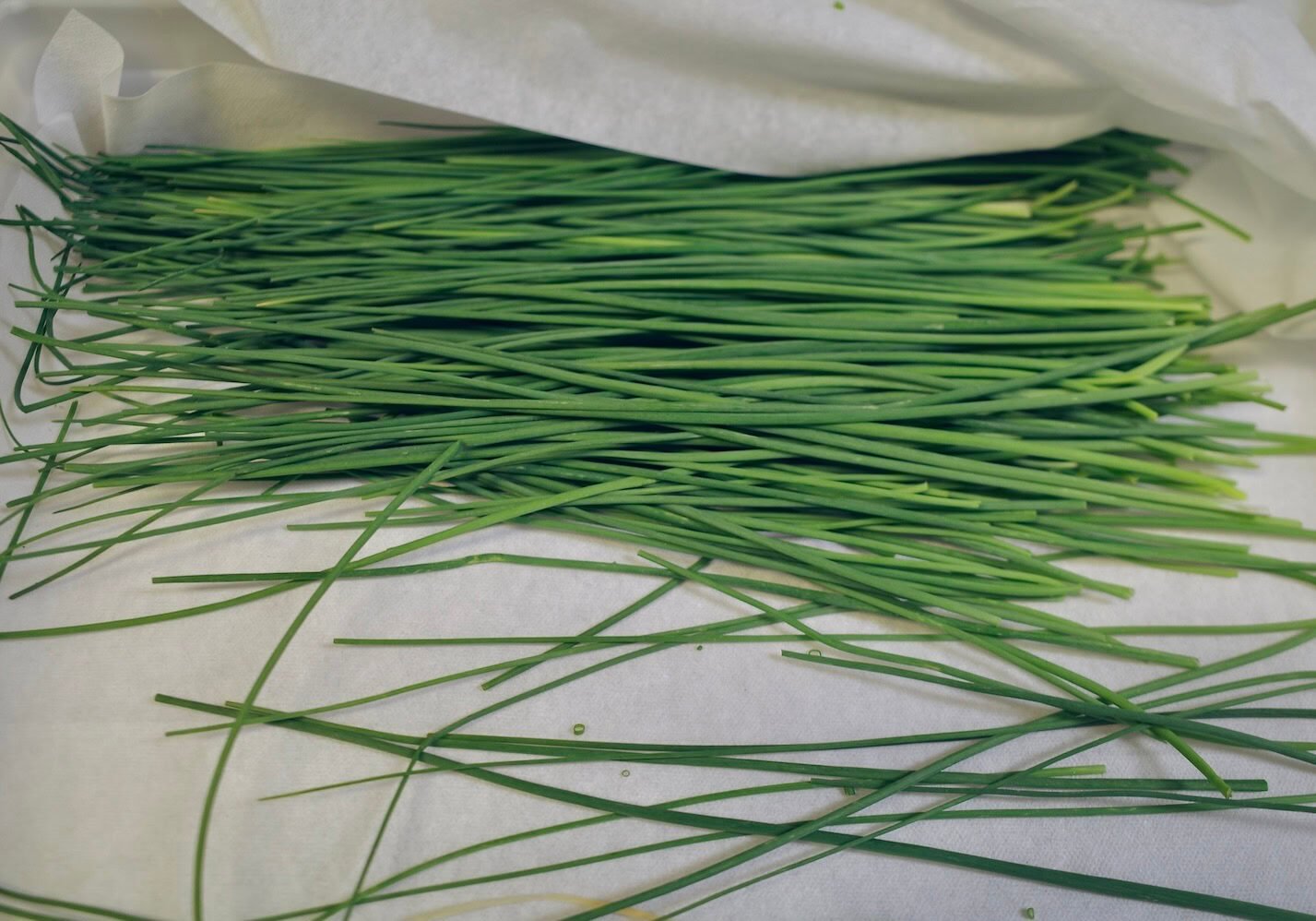 onion-chives-how-to Unwrapping freshly sourced chives
