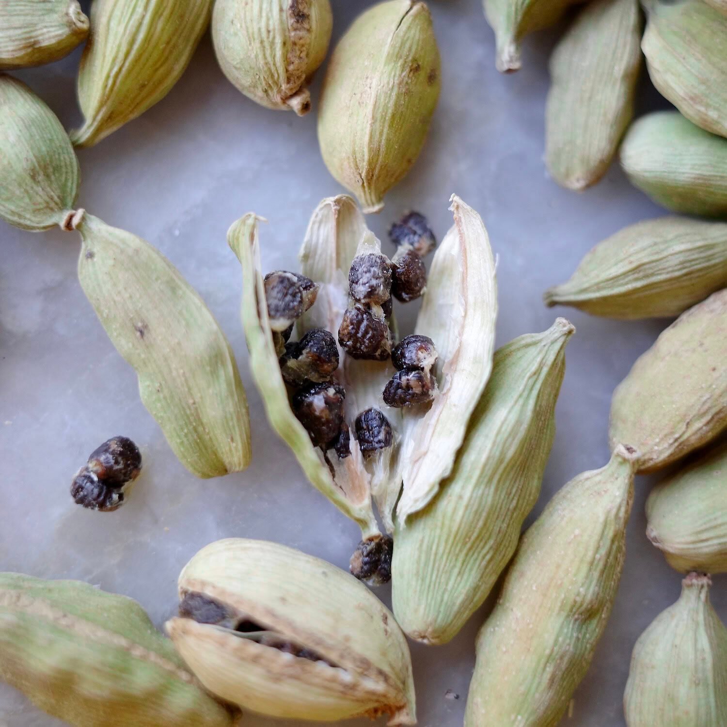 Open cardamom pod Open green cardamom pod, showing seeds close-up