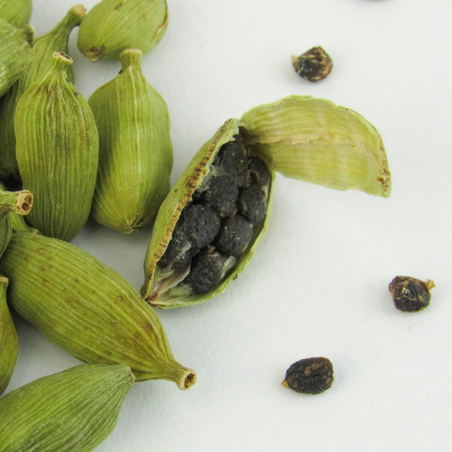 Open green cardamom pod