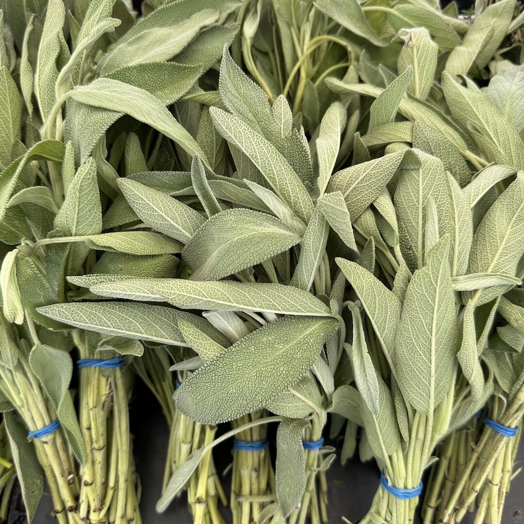 Sage bushels