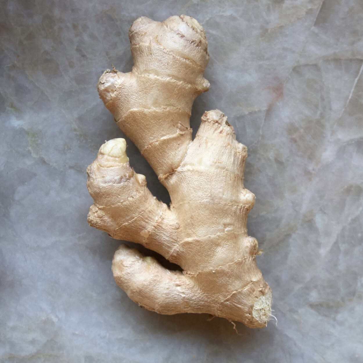 Ginger rhizome on quartz Ginger rhizome on quartz