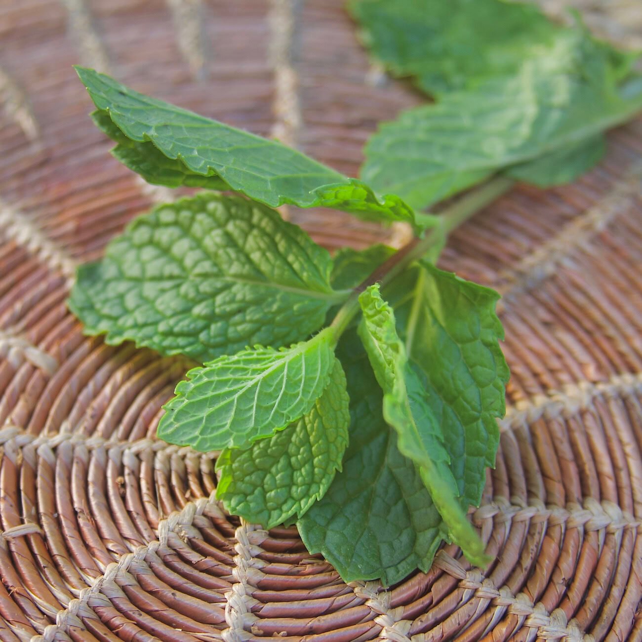 Spearmint leaves laying on a woven placemat