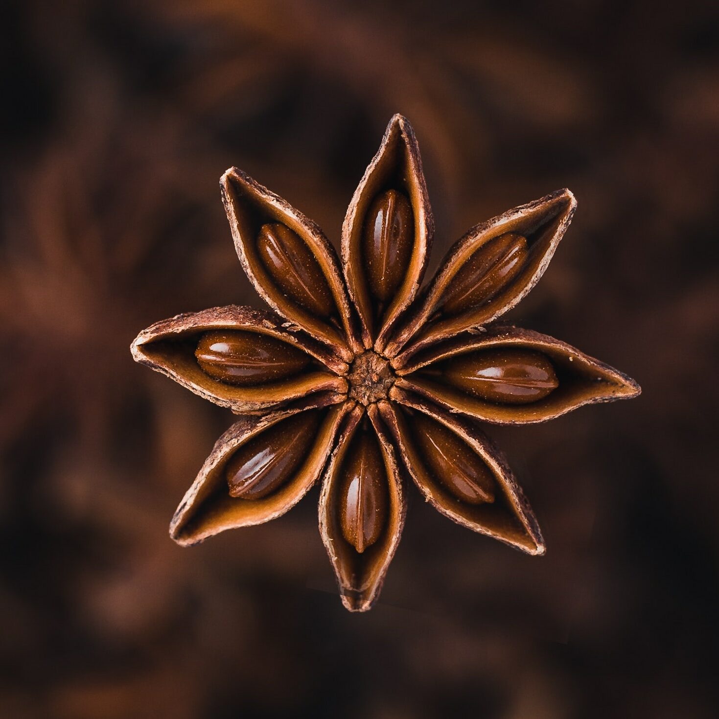 Star Anise