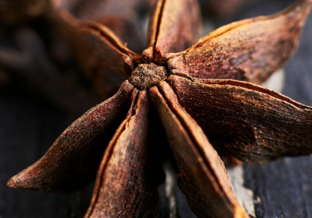 Star anise pod close-up