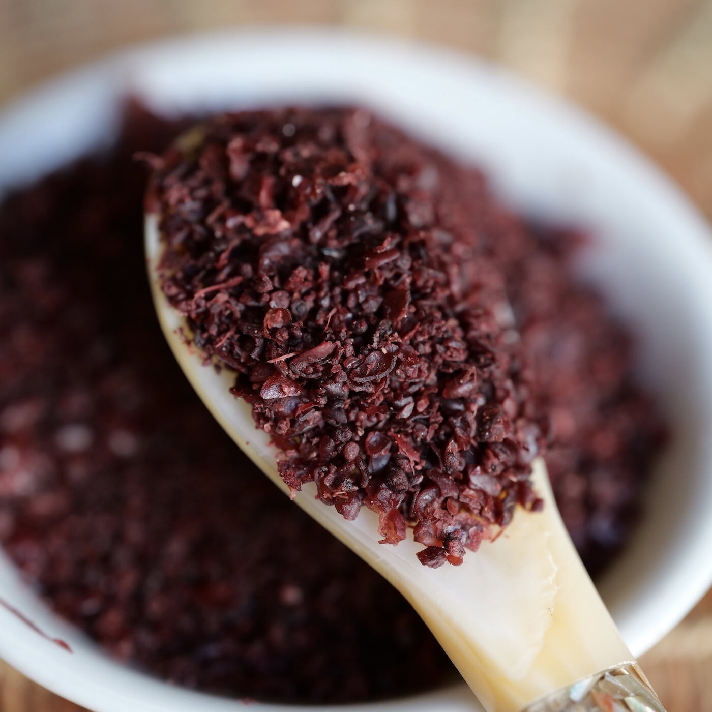 A macro view of ground sumac (Rhus coriaria) heaped on a pale bone spoon resting in a white ceramic bowl, the coarse deep crimson grind shown in fine detail with the texture of crushed berry skin and seed clearly visible