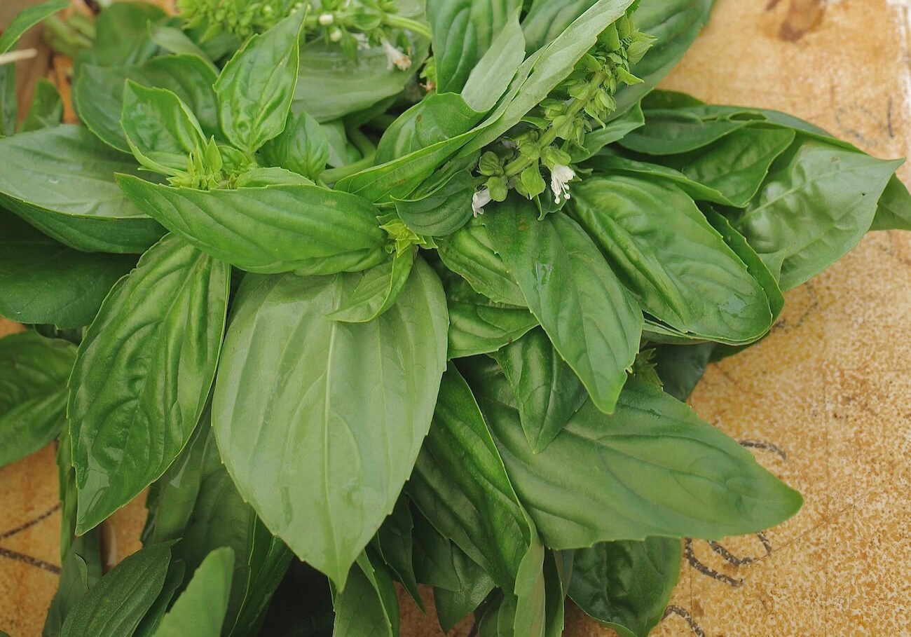 Sweet basil leaves are shown on a wooden surface at the farmer's market.