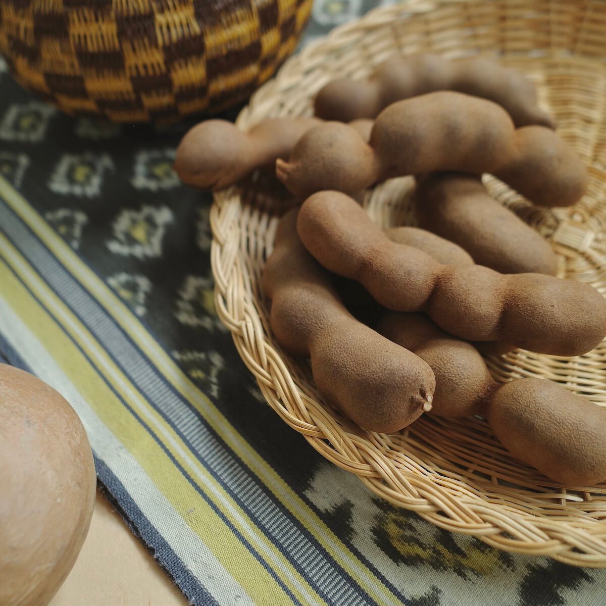 tamarind-pods-full-spread tamarind-pods-full-spread