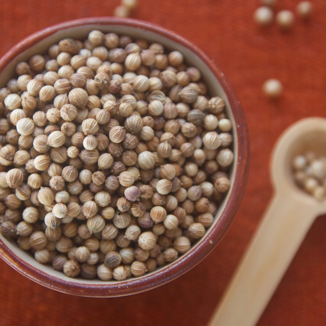 Whole coriander in red bowl